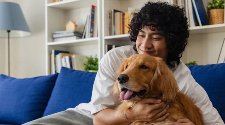 Animal-assisted therapy workshop online